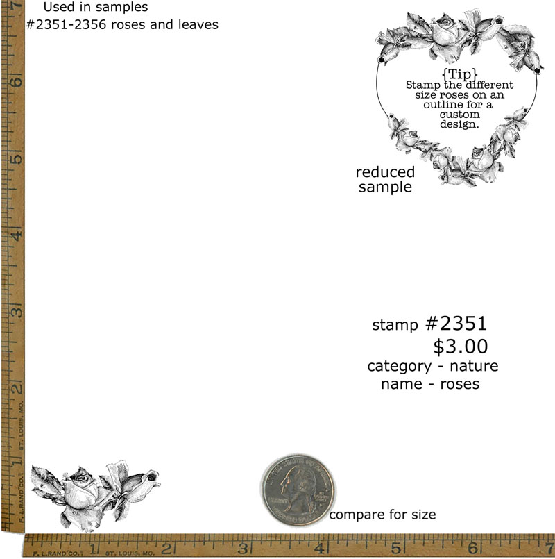 #2351 - Roses - Nature